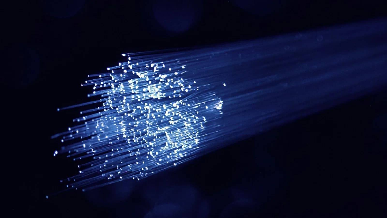 Cables de fibra óptica iluminados sobre fondo oscuro