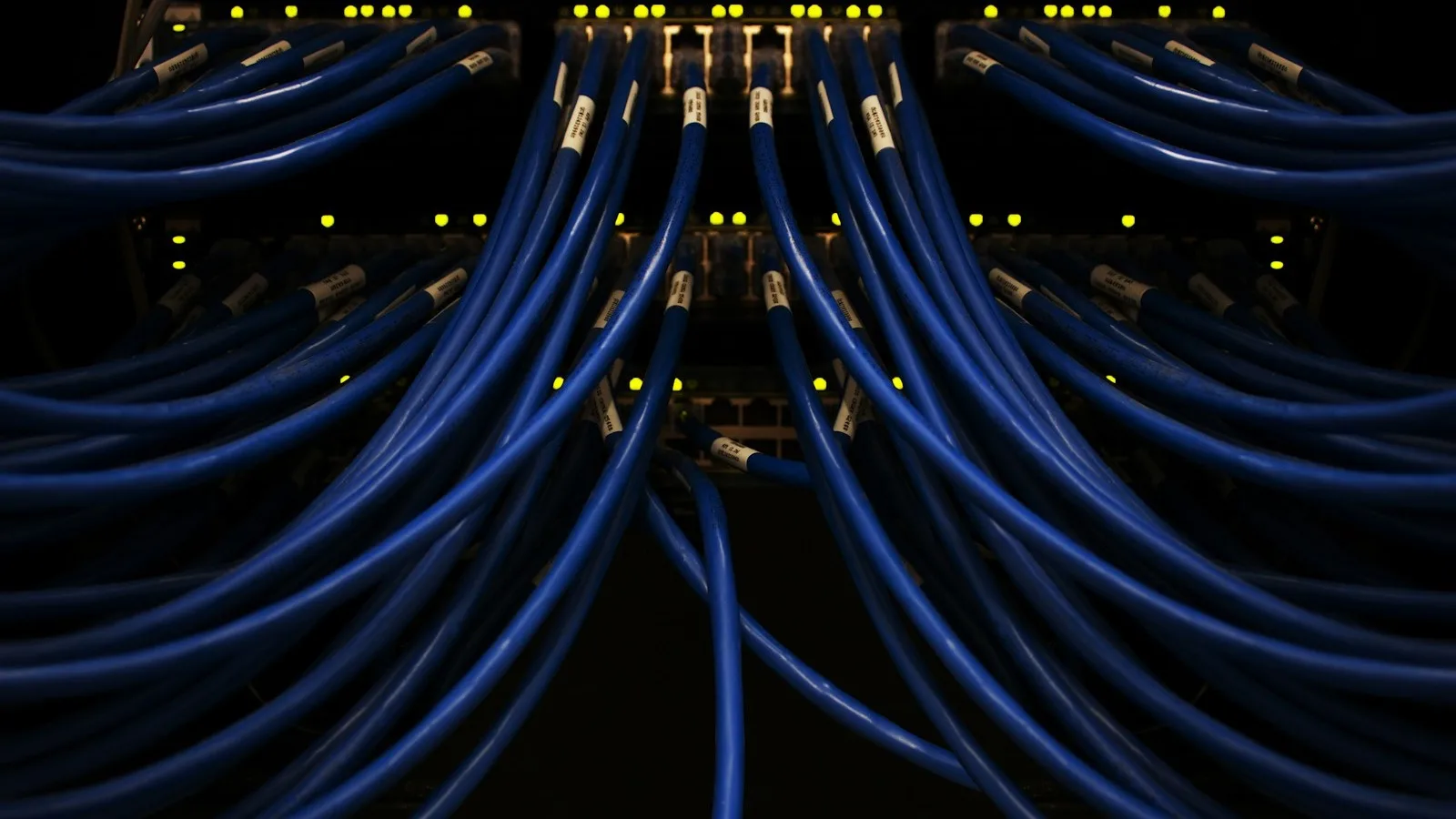 Vista frontal de un switch de red con decenas de cables azules conectados, iluminado por pequeños indicadores LED amarillos en penumbra