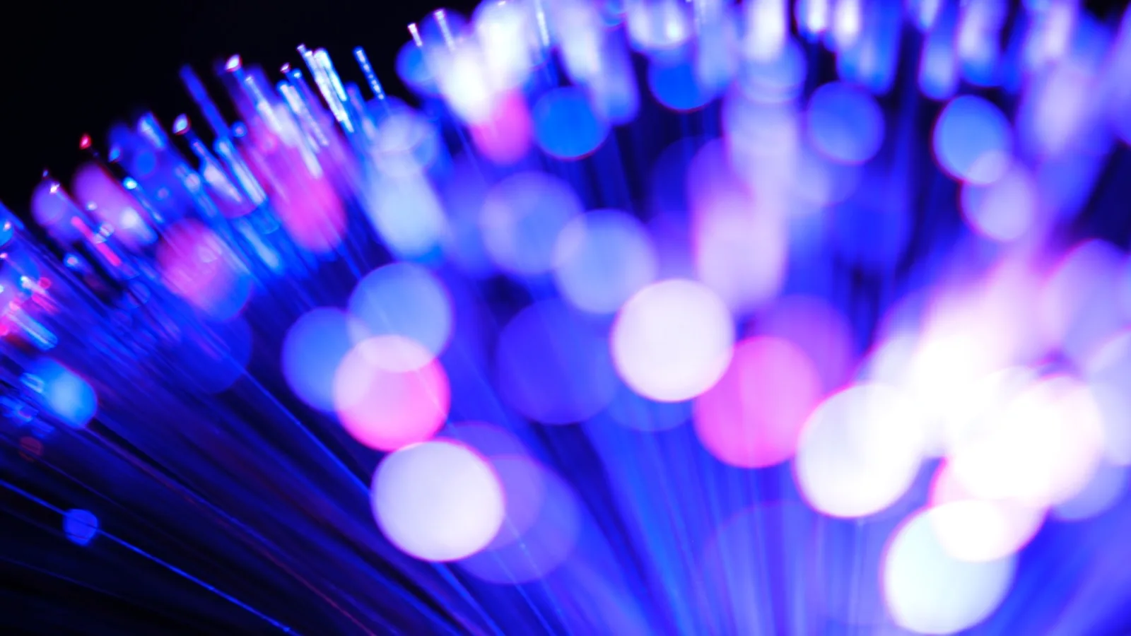 Primer plano de cables de fibra óptica iluminados en azul y rosa, con destellos de luz desenfocados sobre fondo oscuro