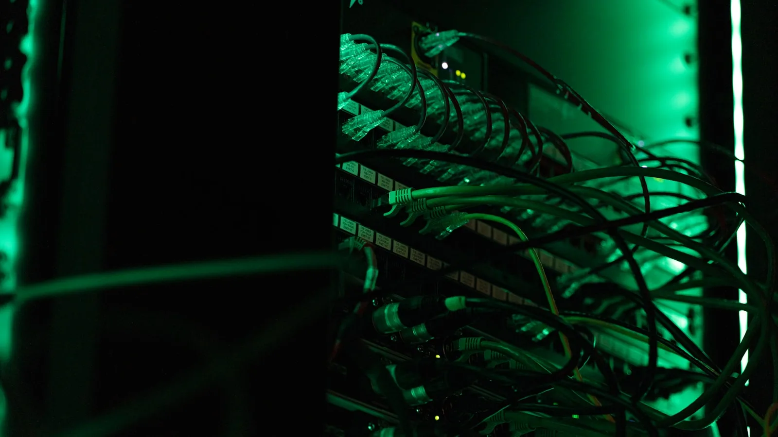 Primer plano de cables de red conectados a un switch, iluminados en verde en una sala de servidores en penumbra