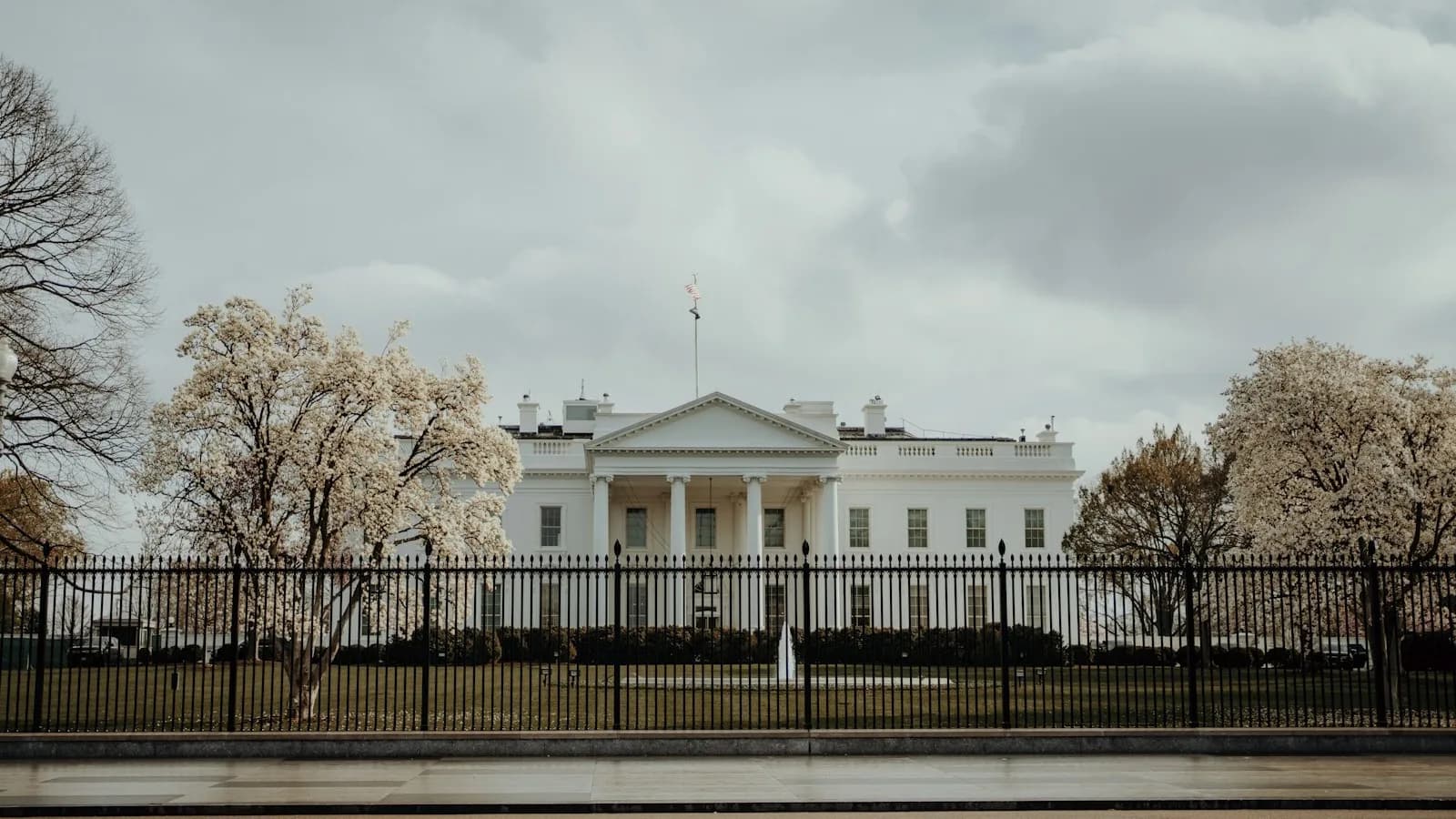 Fachada norte de la Casa Blanca vista tras la verja de seguridad, con árboles en flor y cielo encapotado